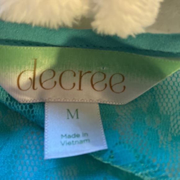 New Decree teal medium back lace yoke. Sheer - Picture 7 of 9